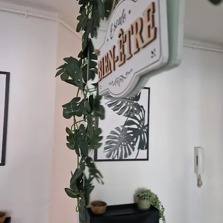 Antoine, Madamedemconciergerie Reims