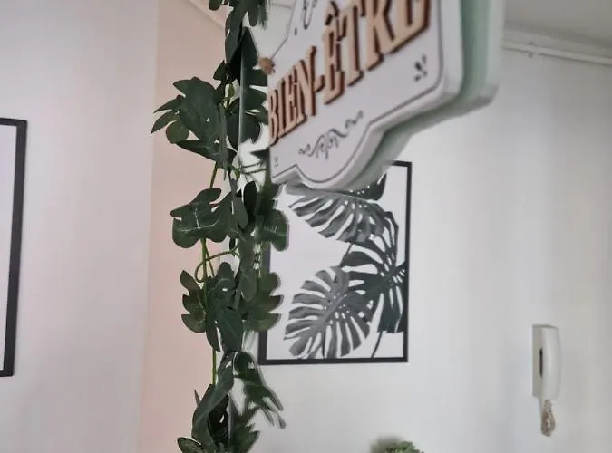 Antoine, Madamedemconciergerie Reims